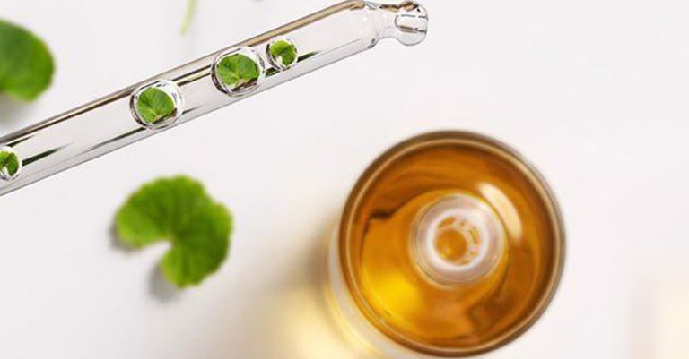CENTELLA ASIATICA – Thành phần làm đẹp da thần kỳ